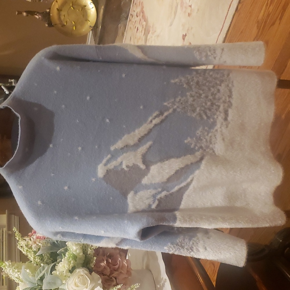 Nwt Rachel ZOE sweater 1x and 2x blue and white